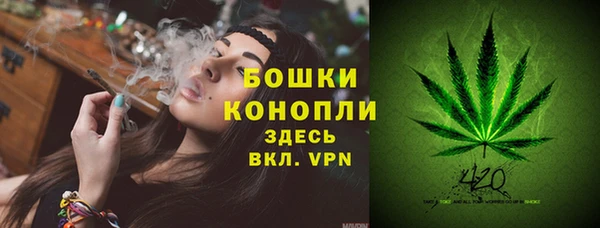 PSILOCYBIN Беломорск