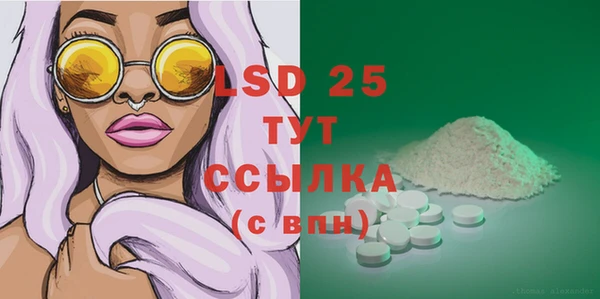 хмурый Белокуриха