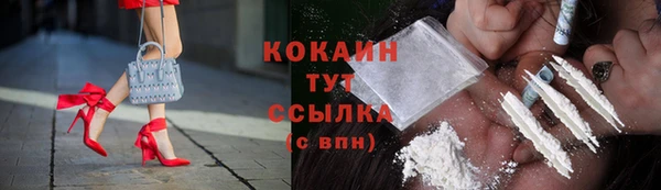 хмурый Белокуриха