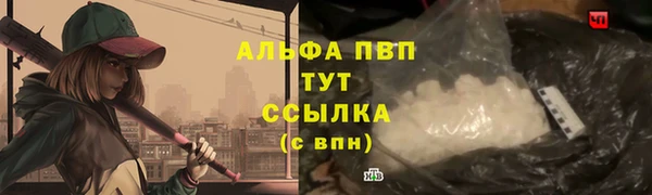PSILOCYBIN Беломорск