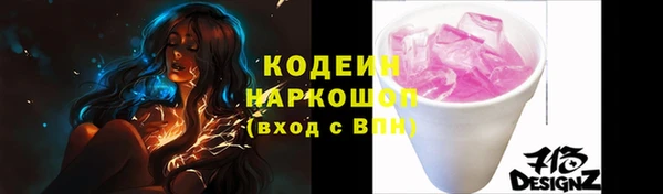 хмурый Белокуриха