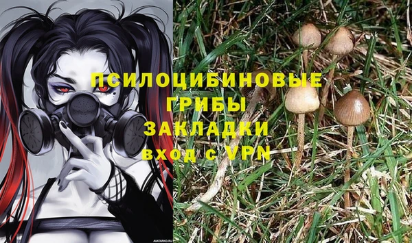 PSILOCYBIN Беломорск