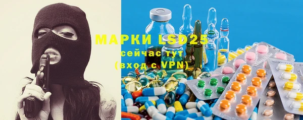 PSILOCYBIN Беломорск