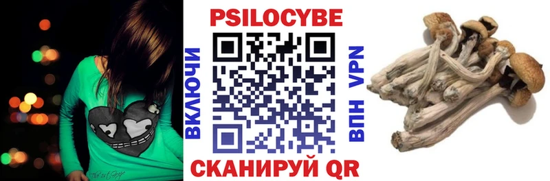 Галлюциногенные грибы Psilocybe  hydra ССЫЛКА  Тотьма 