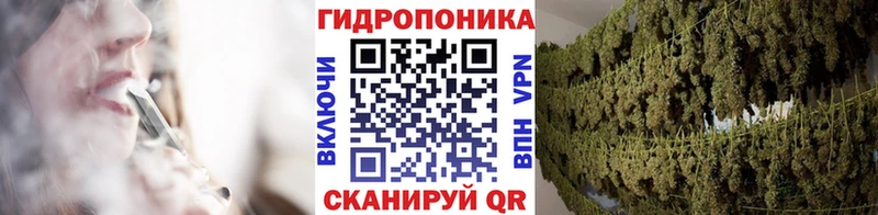 МАРИХУАНА план  купить закладку  hydra зеркало  Тотьма 